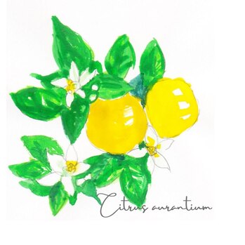 自律神経が乱れているかも...そんな方に！