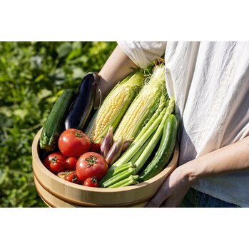 美容効果が高い☆夏野菜
