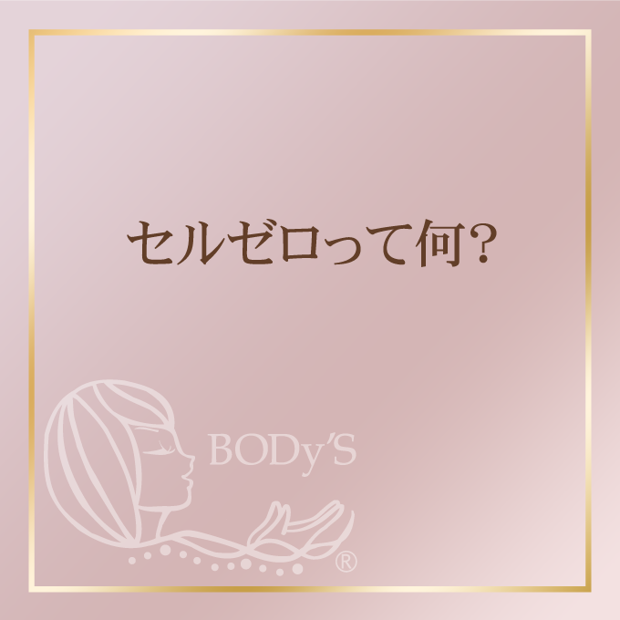 セルゼロって何？