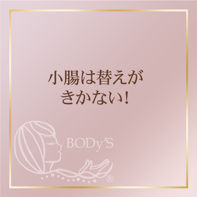 小腸は替えがきかない