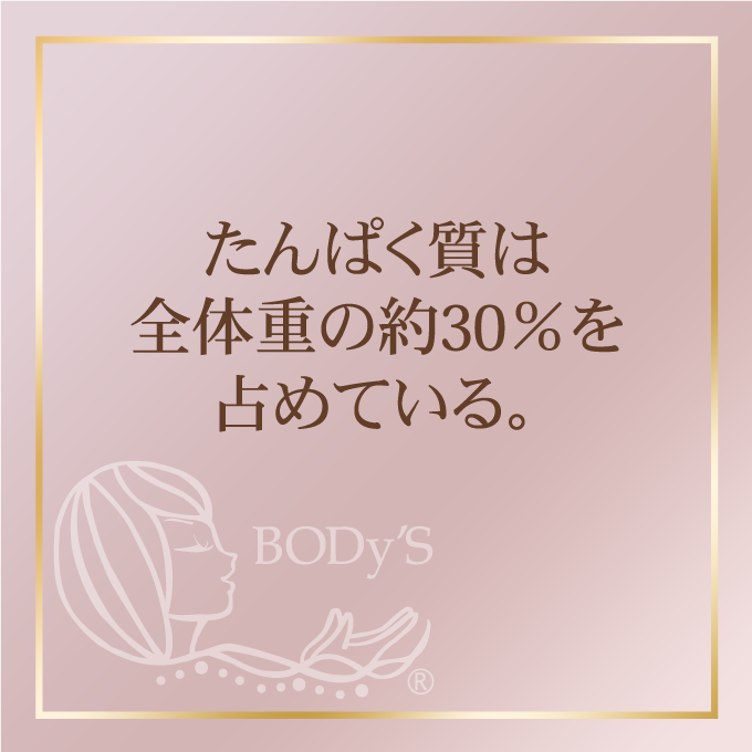 たんぱく質は全体重の約30％を占めている